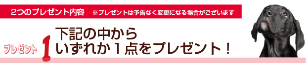 プレゼント1