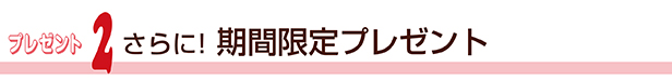 プレゼント2