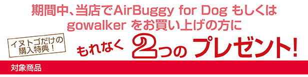 キャンペーントップ