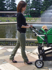 Air Buggy for Dog/滑らかな走行性