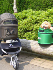 Airbuggy for Dog 3パターンに活用
