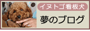 イヌトゴ看板犬・夢のブログ