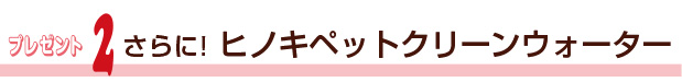 ¥×¥ì¥¼¥ó¥È2