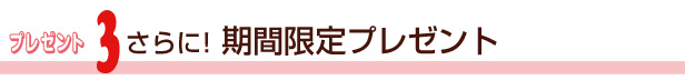 ¥×¥ì¥¼¥ó¥È3