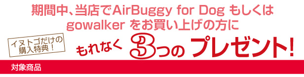 ¥¥ã¥ó¥Ú¡¼¥ó¥È¥Ã¥×