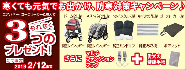 キャンペーントップ