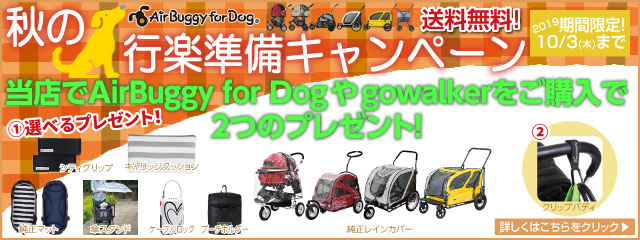 キャンペーントップ