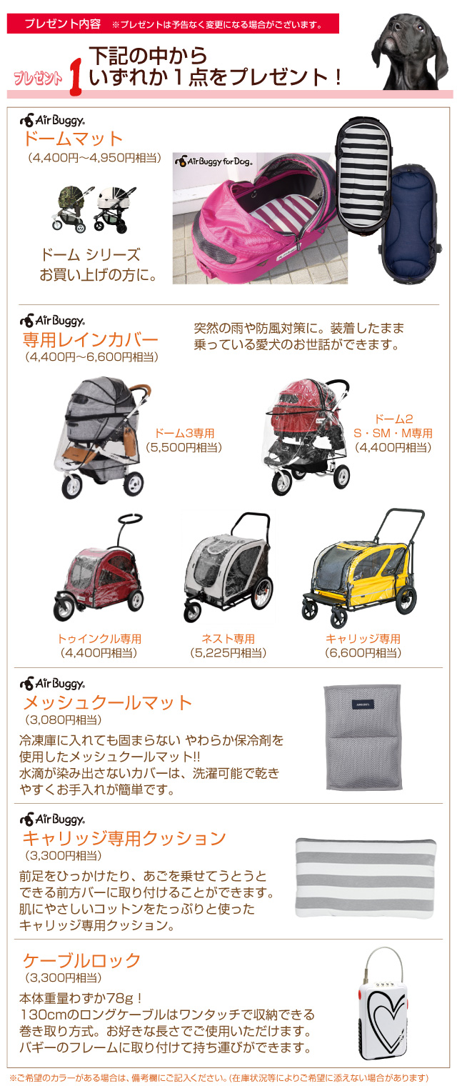エアバギーフォードッグ購入特典おすすめグッズ