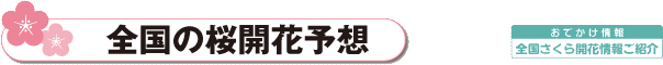 全国の桜の開花予想