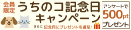 うちのコ記念日