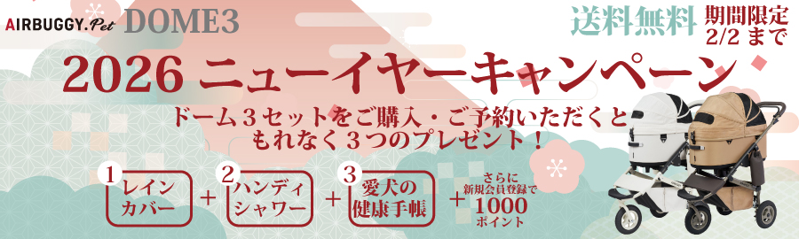 DOME3ニューイヤーキャンペーン