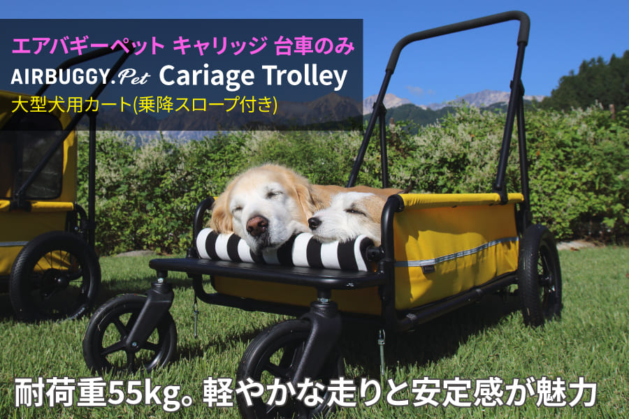 エアバギーペット・フォードッグAirBuggy Pet キャリッジ 大型犬用・中型犬・多頭飼いの方向けの四輪カート