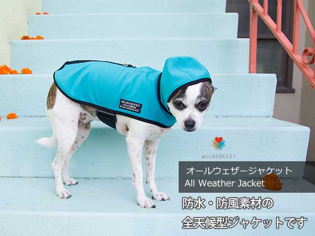 AllWeatherJacket