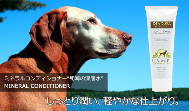 ミネラルコンディショナー