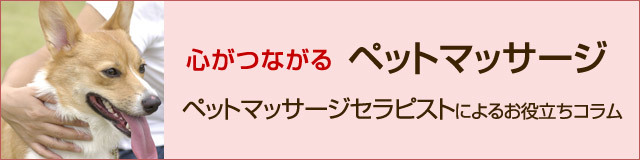 店長日記 心つながるペットマッサージ