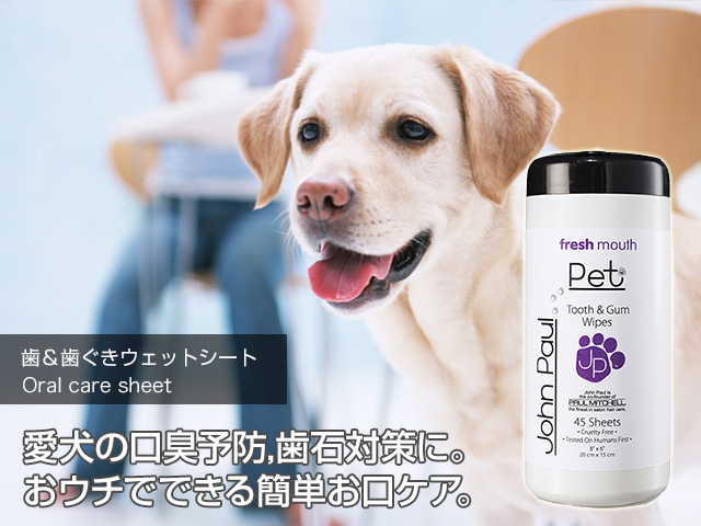 歯&歯ぐきウェットシート