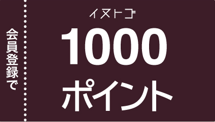 ポイントチケット