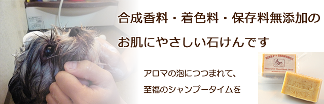 シャンプー石けん バナー